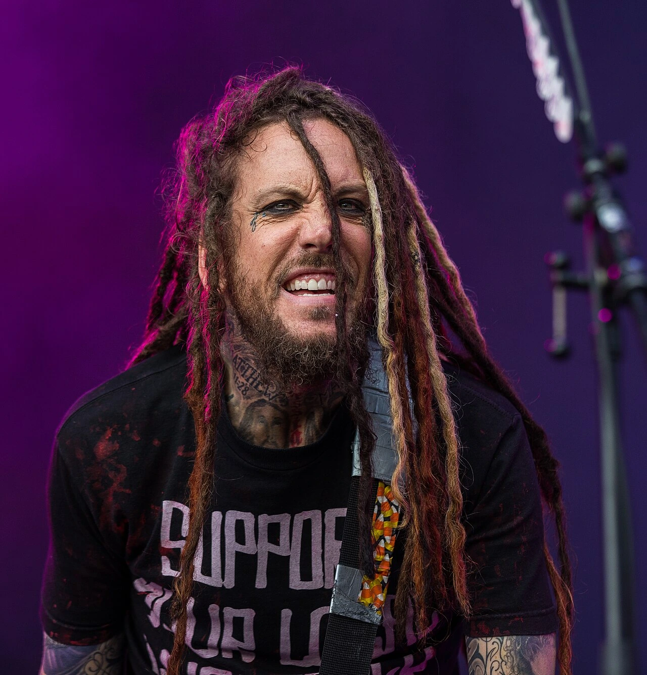 Head Korn Net Worth: Who They Are and Estimated Wealth